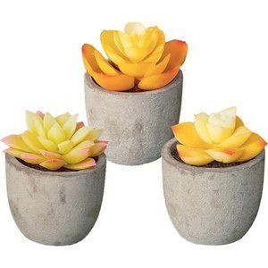 3 Piece Yellow Decor Artificial Succulent Plants in Grey Pots Realistic Greenery